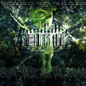 Twist The Anti Brain