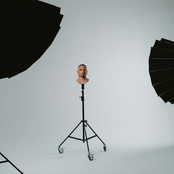 Tut den Song in eure Playlist und macht viele TikToks