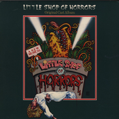 Ron Taylor: Little Shop Of Horrors (Original Cast Album)