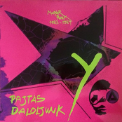 Pajtás Daloljunk Y (Magyar Punk 1983-1987)