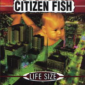 Choice Of Viewing by Citizen Fish