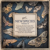 New Species Volume II