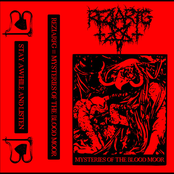 Mysteries Of The Blood Moor