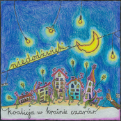 Koalicja w krainie czarów (2011)