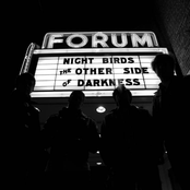 Night Birds: The Other Side of Darkness