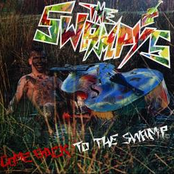 Come back To The Swamp