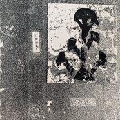 L​.​B​.​R​.​P.