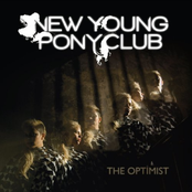 Chaos by New Young Pony Club