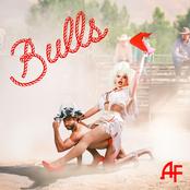 Bulls - Single