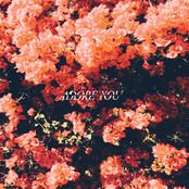 Adore You