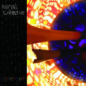 Safer by Animal Collective