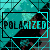 Polarized