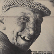 Wild Rover No More