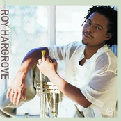 You Go To My Head by Roy Hargrove