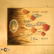 Every Window Holds The Truth by Giant Cloud