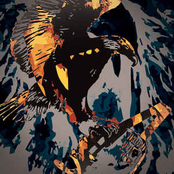 Eagles and Chainsaws and Bears: The First Five Years of