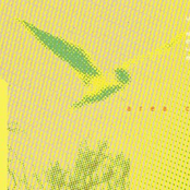 Charmed Birds Against Sorcery