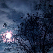 Pinprick Melodies