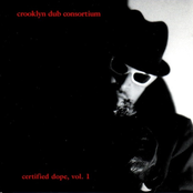 Crooklyn Dub Consortium Presents Certified Dope, Volume 1