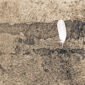 Somebody Call an Ambience