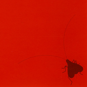 Homeogryllus Japonicus Orchestra 2004