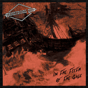 In the Teeth of the Gale