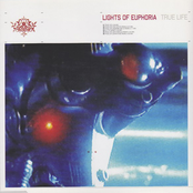 Fly To Target by Lights Of Euphoria