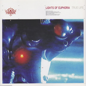 True Life (vnv Nation Remix) by Lights Of Euphoria