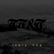 Lowly Dog