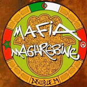 Mafia Maghrébine