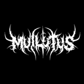 Muilutus