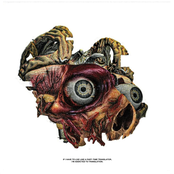 TRANSLATION ADDICTION