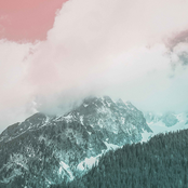 Organic Music Tapes, Vol. 4