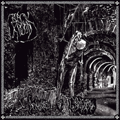 Delusions of Gangrene