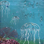 LXV. The Ocean Is a Central Image