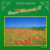 Miyazaki Hayao No Sekai III