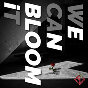 Bloom - Single