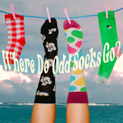 Where Do Odd Socks Go?