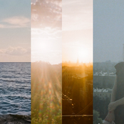 Follow Suit Yourself