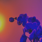 In A River Running Dry