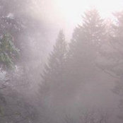 I wanted it to be you