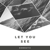 Let You See