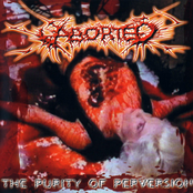 Aborted: The Purity Of Perversion