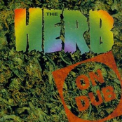 the herb