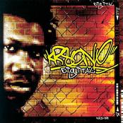 Harmony And Understanding by Krs-one