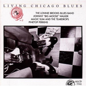 magic blues (the blues of the magic man): chicago blues session, volume 24