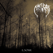 Ilsomr