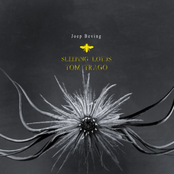 Sleeping Lotus (Tom Trago’s Sixtine Remix)