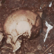 Manzie / Strohmeyer 1997