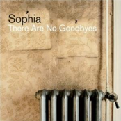There Are No Goodbyes by Sophia